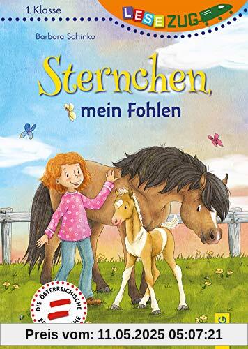 LESEZUG/1. Klasse: Sternchen, mein Fohlen