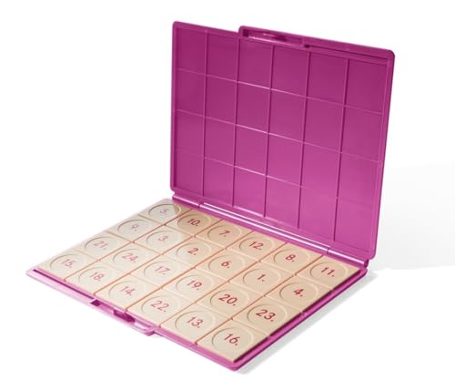 LÜK: Kontrollgerät pink mit 24 Aufgabenplättchen (kompakt) Neuere Kompaktversion (LÜK: Lösungsgeräte für alle LÜK-Übungshefte) von Westermann Lernwelten GmbH