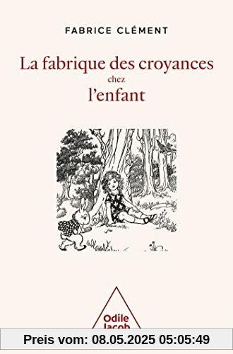 La Fabrique des croyances chez l'enfant: Une histoire naturelle de la croyance