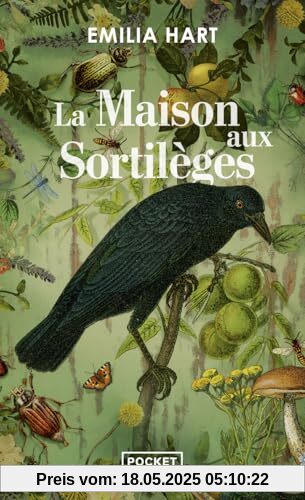 La Maison aux sortilèges