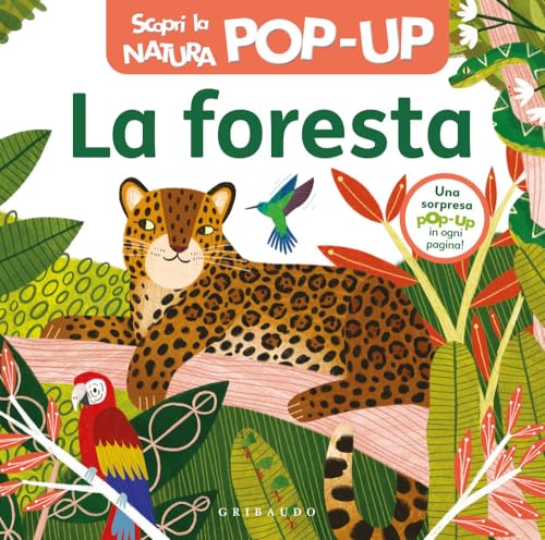 La foresta. Scopri la natura pop-up. Ediz. a colori (Osservo e imparo) von Gribaudo