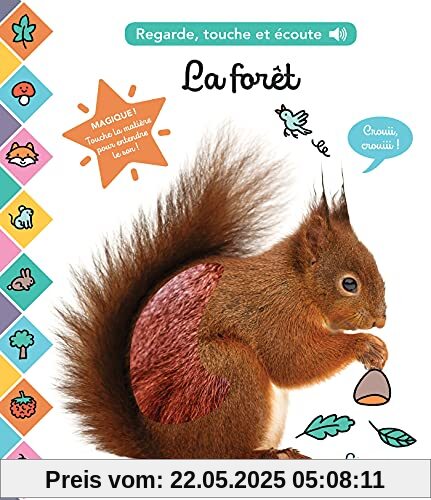 La forêt: Regarde, touche et écoute