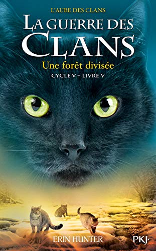 La guerre des Clans - Cycle V L'aube des clans - tome 5 Une forêt divisée (5)