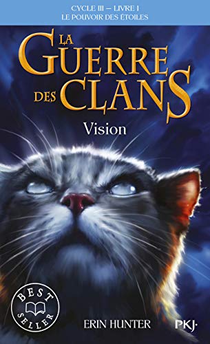 La guerre des Clans cycle III Le pouvoir des étoiles - tome 1 vision (1)
