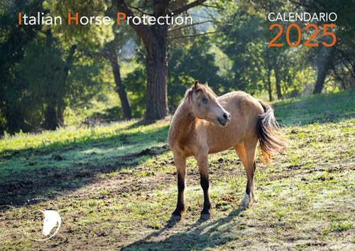 La luce dell'anima. Calendario 2025 La luce dell'anima. Calendario 2025 von Masso delle Fate
