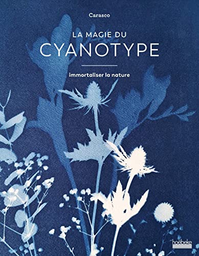 La magie du cyanotype: Immortaliser la nature