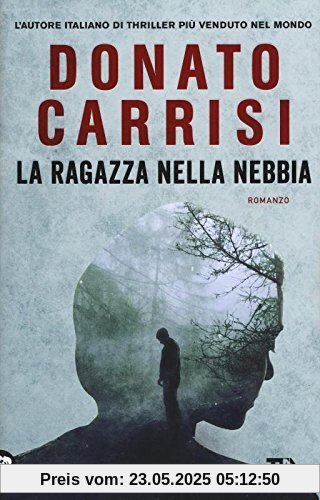 La ragazza nella nebbia