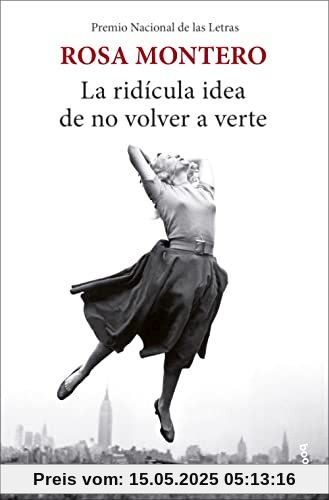 La ridícula idea de no volver a verte (Novela)