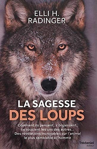 La sagesse des loups: Comment ils pensent, s'organisent, se soucient les uns des autres...