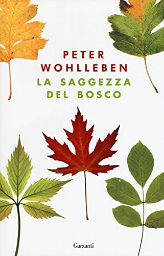 La saggezza del bosco (Saggi) La saggezza del bosco (Saggi)