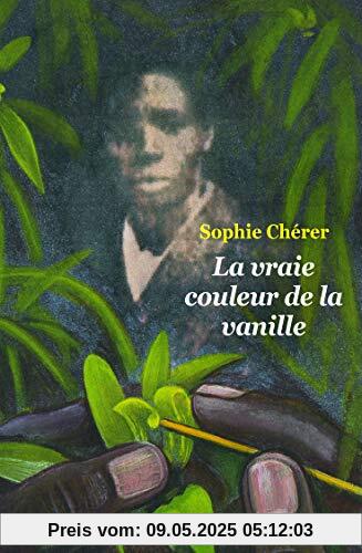 La vraie couleur de la vanille