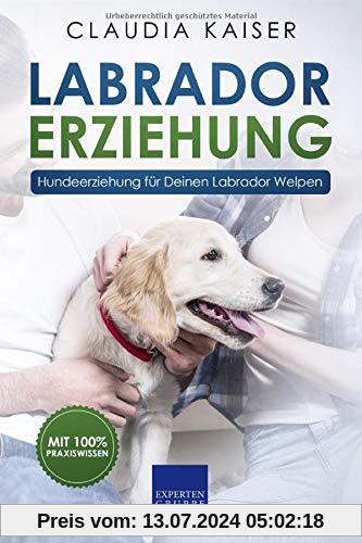 Labrador Erziehung: Hundeerziehung für Labrador Welpen (Labrador Band, Band 1)
