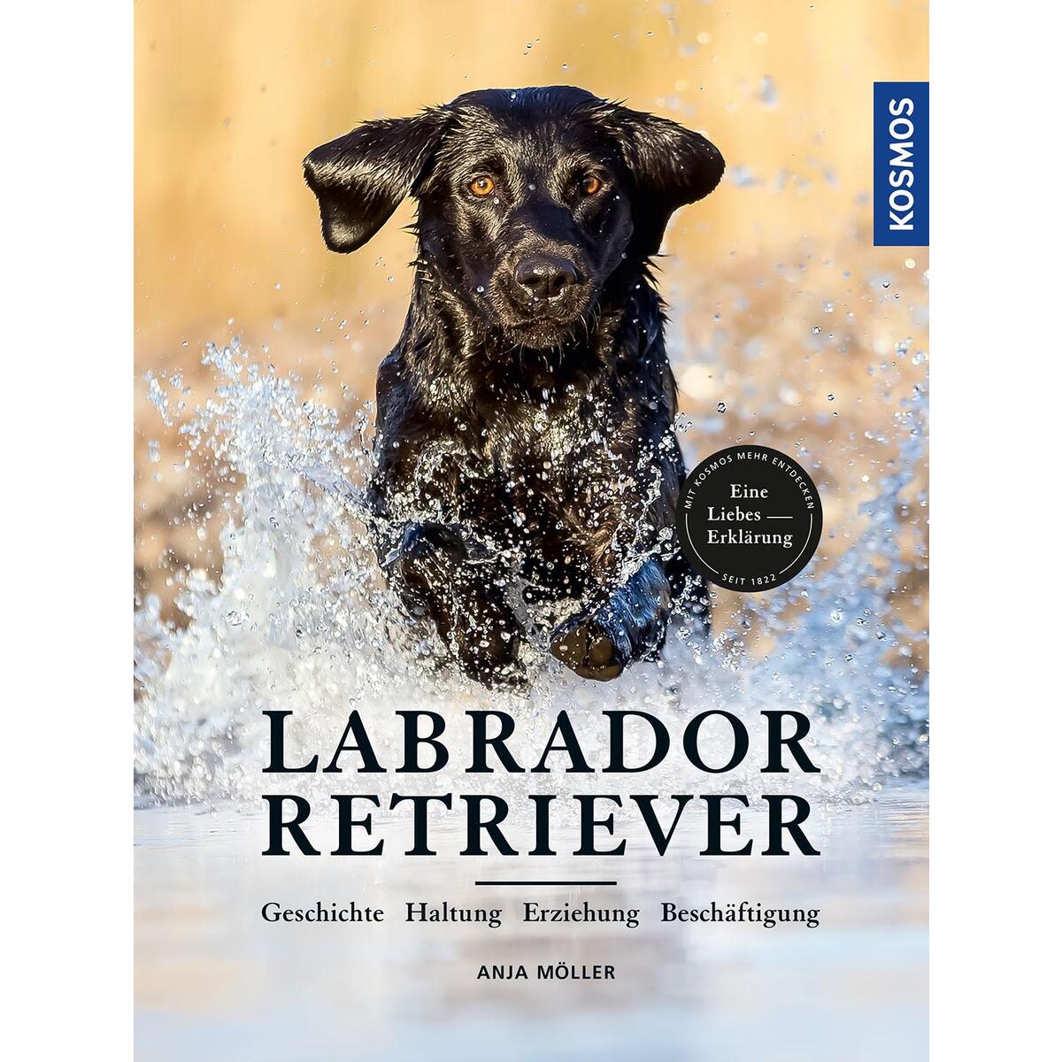 Labrador Retriever von Franckh-Kosmos