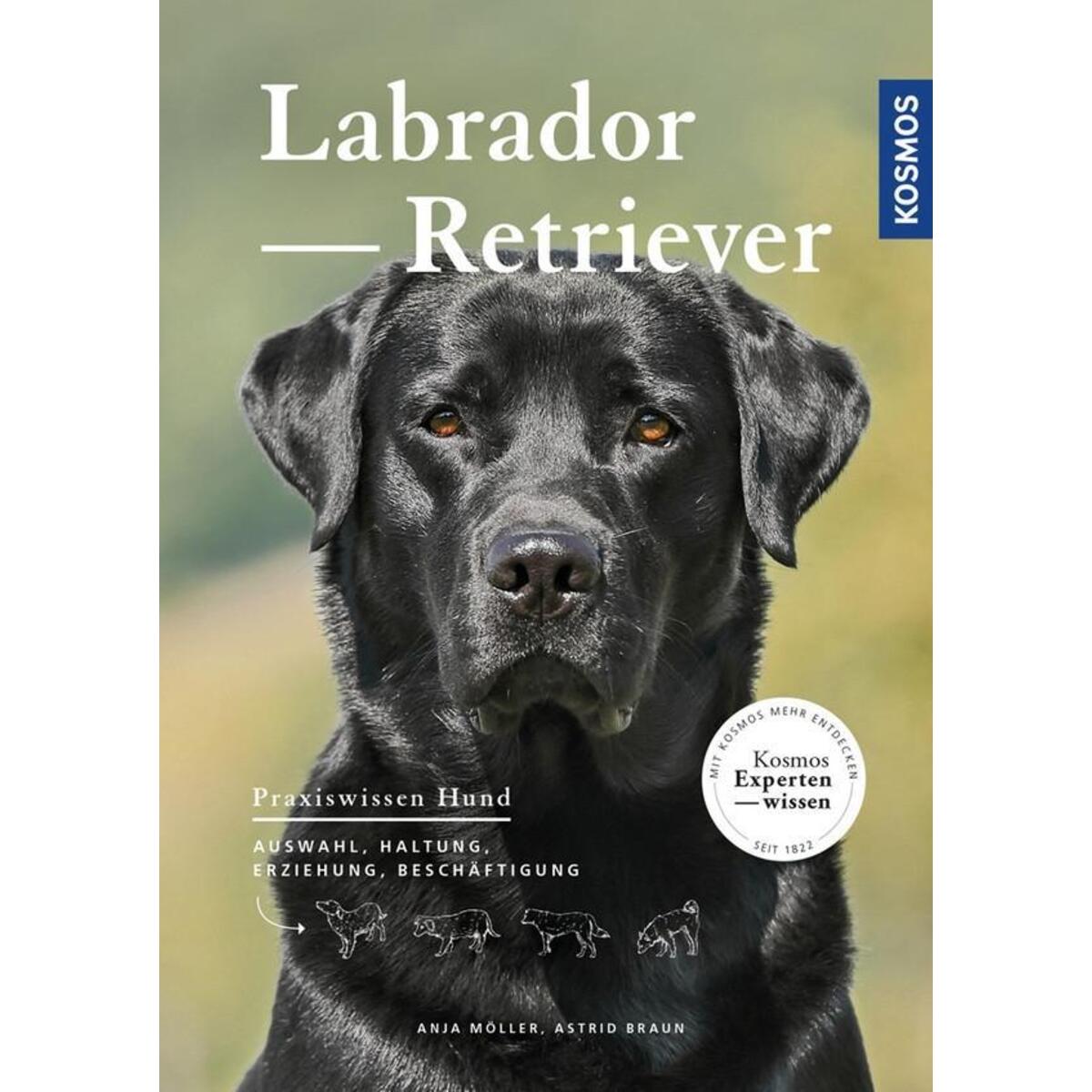 Labrador Retriever von Franckh-Kosmos