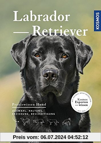 Labrador Retriever: Auswahl, Haltung, Erziehung, Beschäftigung (Praxiswissen Hund)