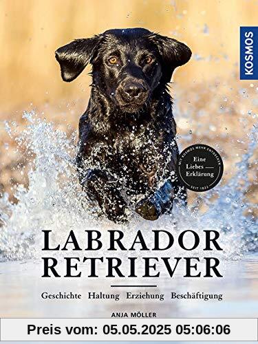Labrador Retriever: Geschichte, Haltung, Erziehung, Beschäftigung