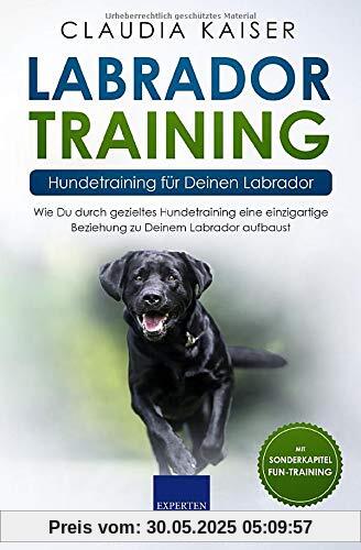 Labrador Training – Hundetraining für Deinen Labrador: Wie Du durch gezieltes Hundetraining eine einzigartige Beziehung zu Deinem Labrador aufbaust (Labrador Band, Band 2)