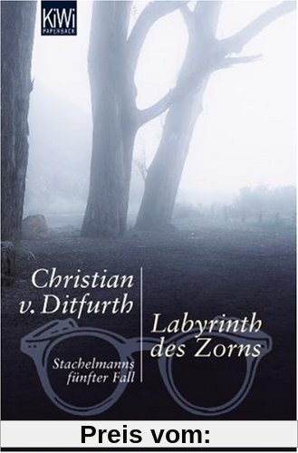 Labyrinth des Zorns: Stachelmanns fünfter Fall