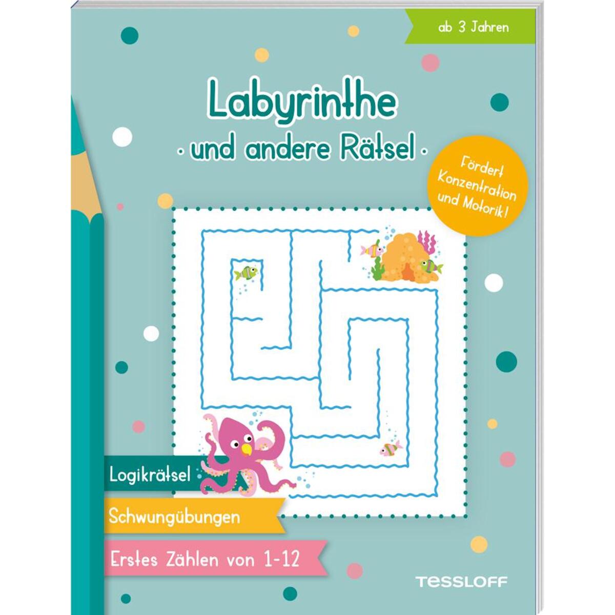 Labyrinthe und andere Rätsel von Tessloff Verlag