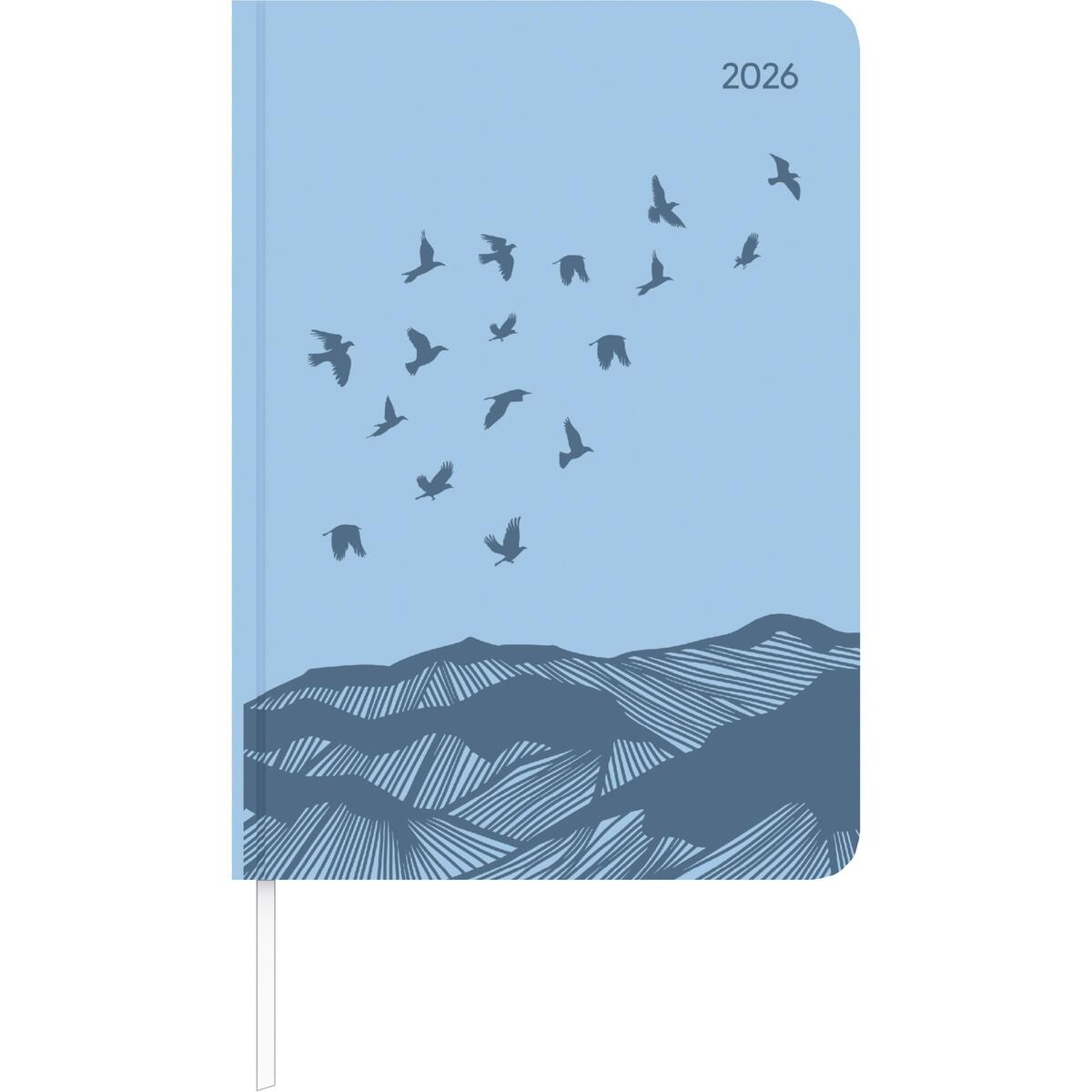 Lady Journal Grande Deluxe Sky 2025 - Taschen-Kalender A5 (15x21 cm) - Tucson Ei... von Neumann Verlage GmbH & Co