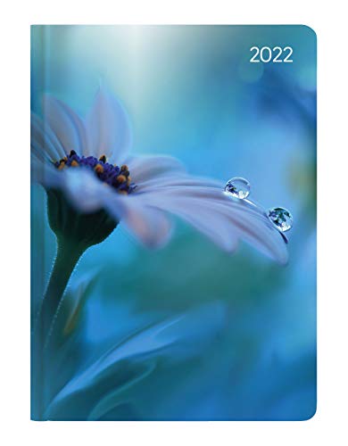 Ladytimer Midi Waterdrops 2022 - Taschen-Kalender 12x17 cm - Tropfen - mit Mattfolie - Notiz-Buch - Weekly - 192 Seiten - Alpha Edition von ALPHA EDITION GmbH