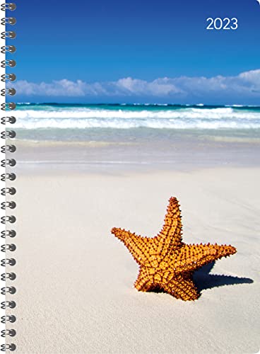 Ladytimer Ringbuch Beach 2023 - Taschen-Kalender A5 (15x21 cm) - Schüler-Kalender - Weekly - Ringbindung - 128 Seiten - Alpha Edition von Alpha Edition