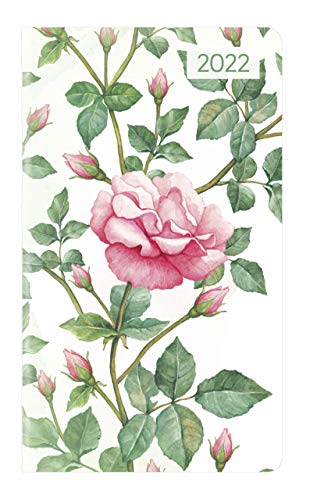 Ladytimer Slim Roses 2022 - Taschen-Kalender 9x15,6 cm - Rosen - Weekly - 128 Seiten - Notiz-Buch - Alpha Edition von ALPHA EDITION GmbH