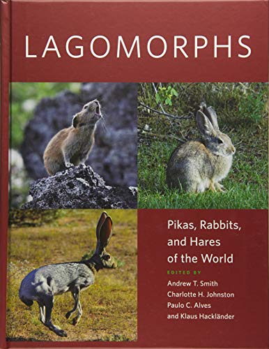 Lagomorphs: Pikas, Rabbits, and Hares of the World von Johns Hopkins University Press
