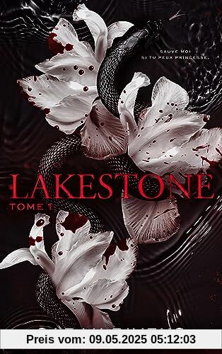 Lakestone - Tome 1: Roman Lakestone - Tome 1: Roman