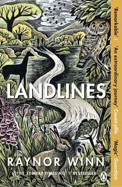 Landlines von Penguin / Penguin Books UK