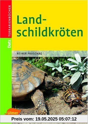 Landschildkröten