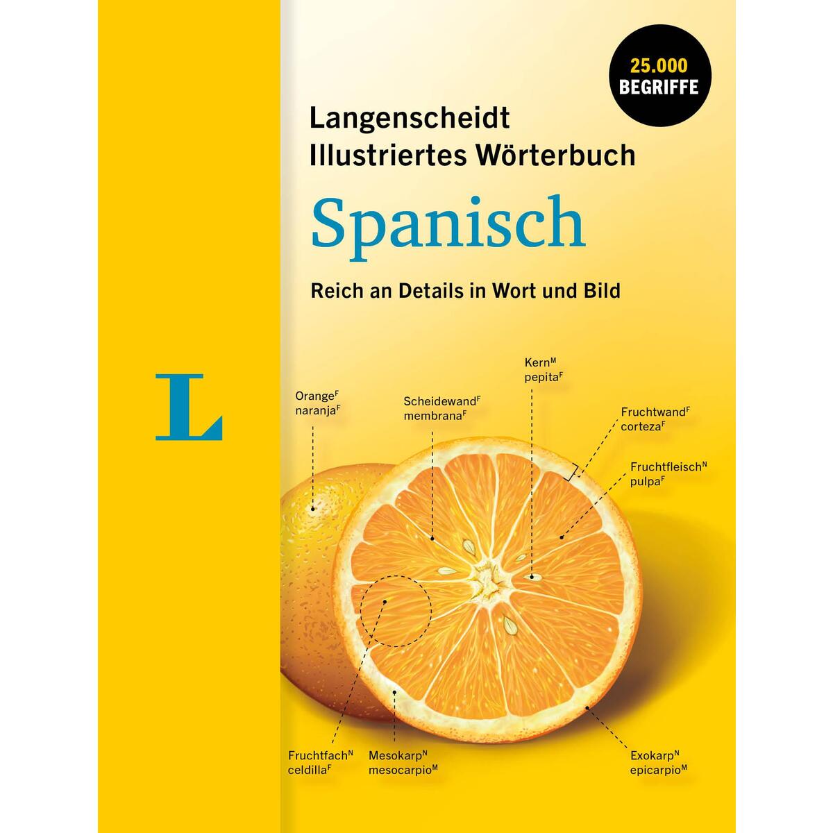 Langenscheidt Illustriertes Wörterbuch Spanisch von Langenscheidt bei PONS