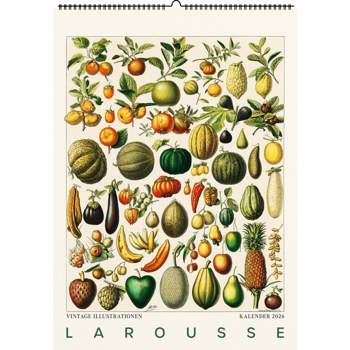 Larousse. Wandkalender 2026 von Favoritenpresse