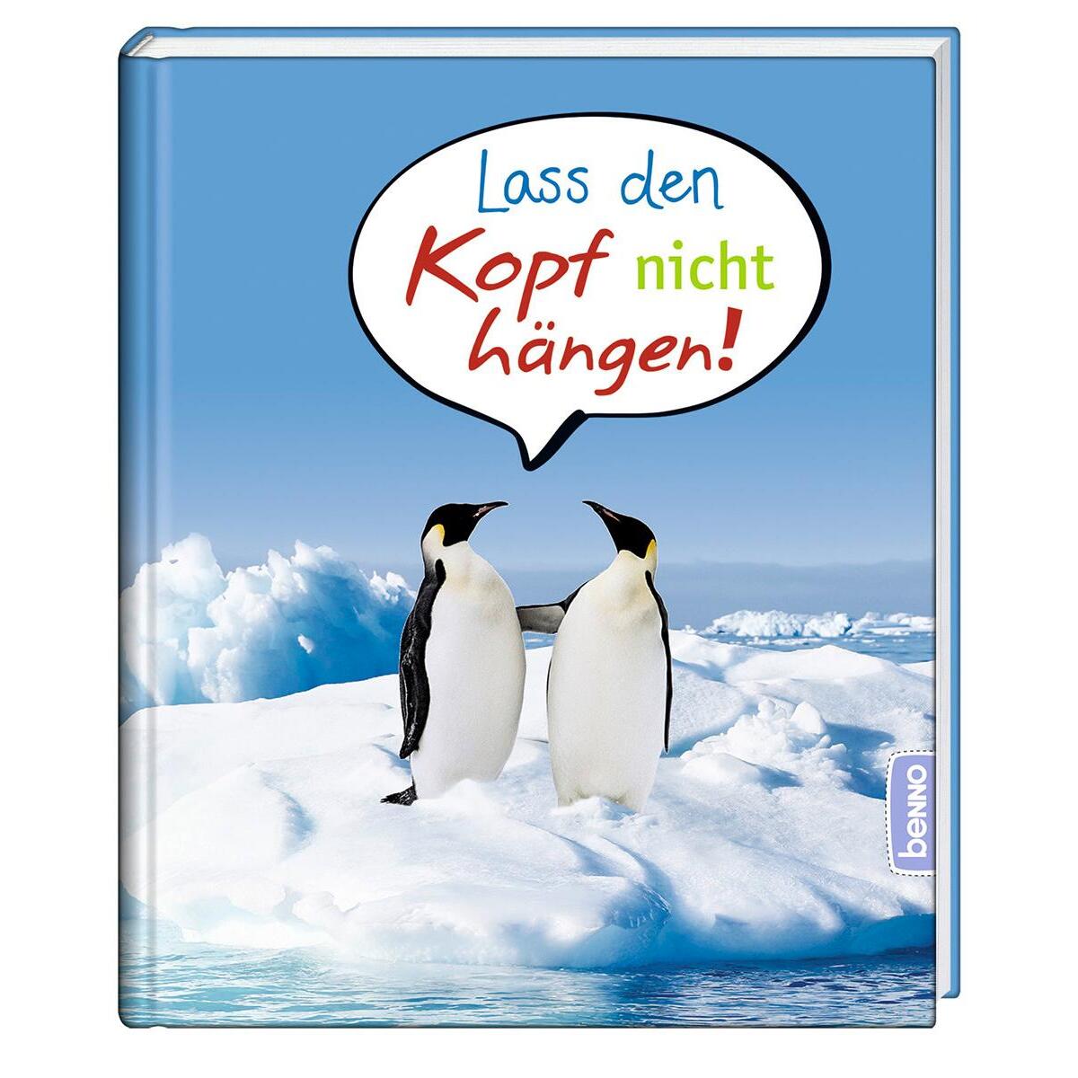 Lass den Kopf nicht hängen! von St. Benno Verlag