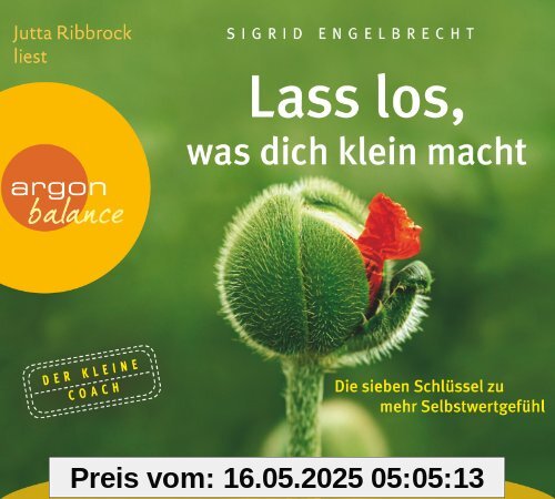 Lass los, was dich klein macht: Die sieben Schlüssel zu mehr Selbstwertgefühl Lass los, was dich klein macht: Die sieben Schlüssel zu mehr Selbstwertgefühl