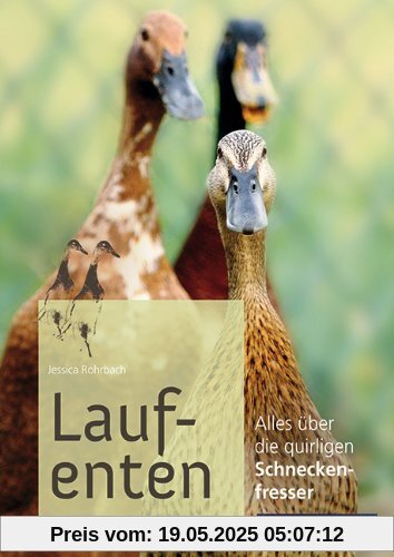 Laufenten: Alles über die quirligen Schneckenfresser