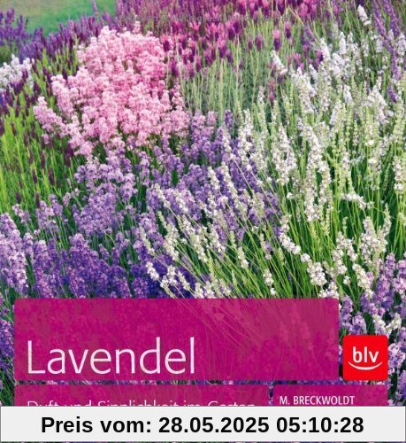 Lavendel: Duft und Sinnlichkeit im Garten