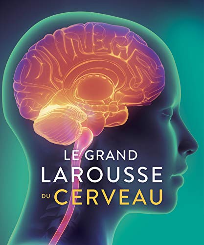 Le Grand Larousse du cerveau von Larousse