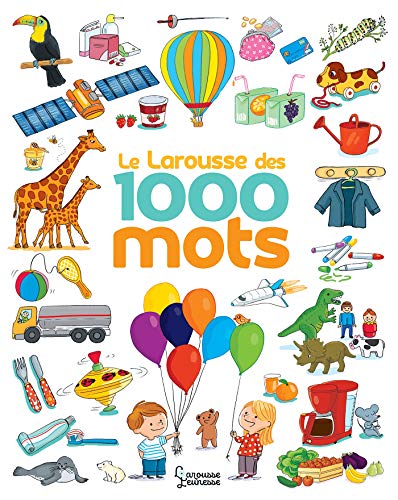 Le Larousse des 1 000 mots NE