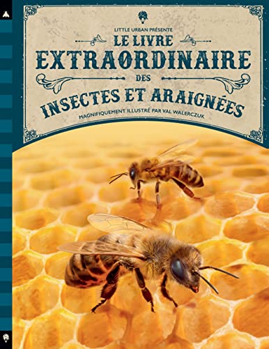 Le Livre extraordinaire des insectes et araignées von LITTLE URBAN