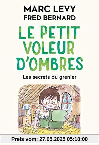 Le Petit Voleur D'ombres 04 (Collection R Jeunesse, Band 4)