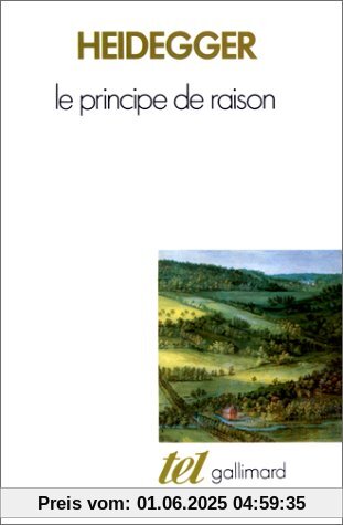 Le Principe de raison (Tel)