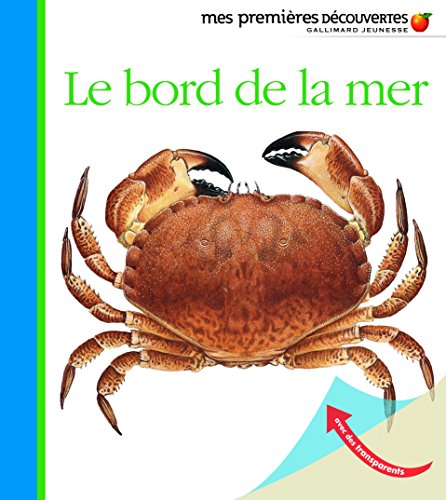 Le bord de la mer