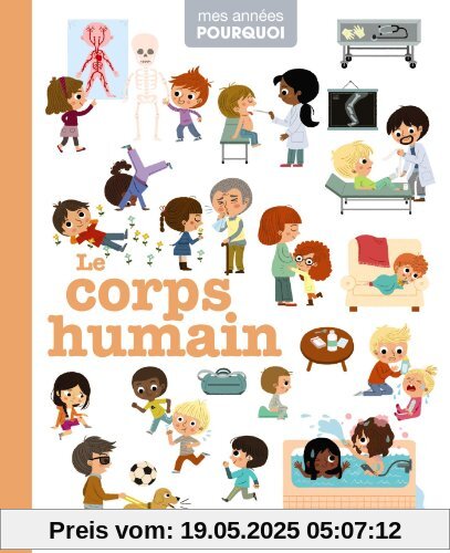 Le corps humain