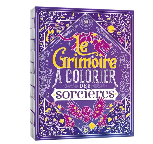 Le grimoire à colorier des sorcières: Avec 27 coloriages pailletés von DEUX COQS D OR