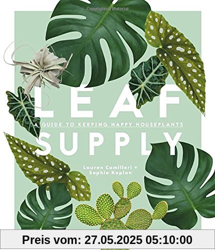 Leaf Supply: A Guide to Keeping Happy House Plants Leaf Supply: A Guide to Keeping Happy House Plants