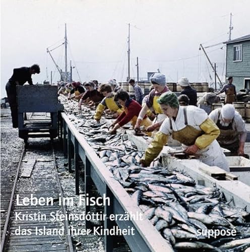 Leben im Fisch: Kristín Steinsdóttir erzählt das Island ihrer Kindheit