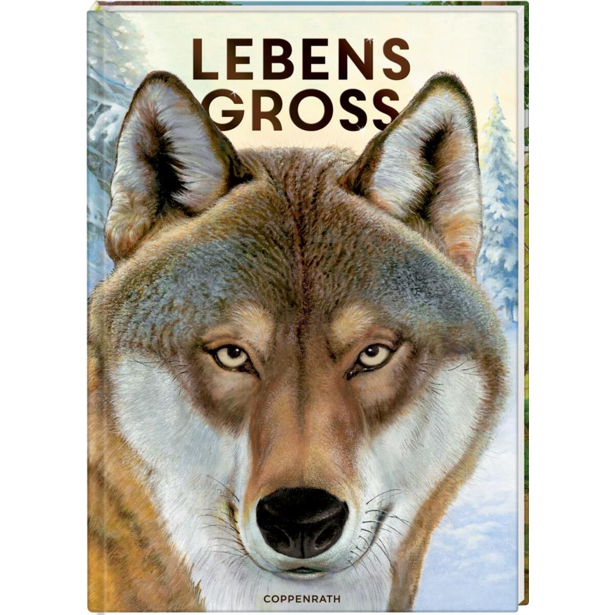 Lebensgroß von Coppenrath
