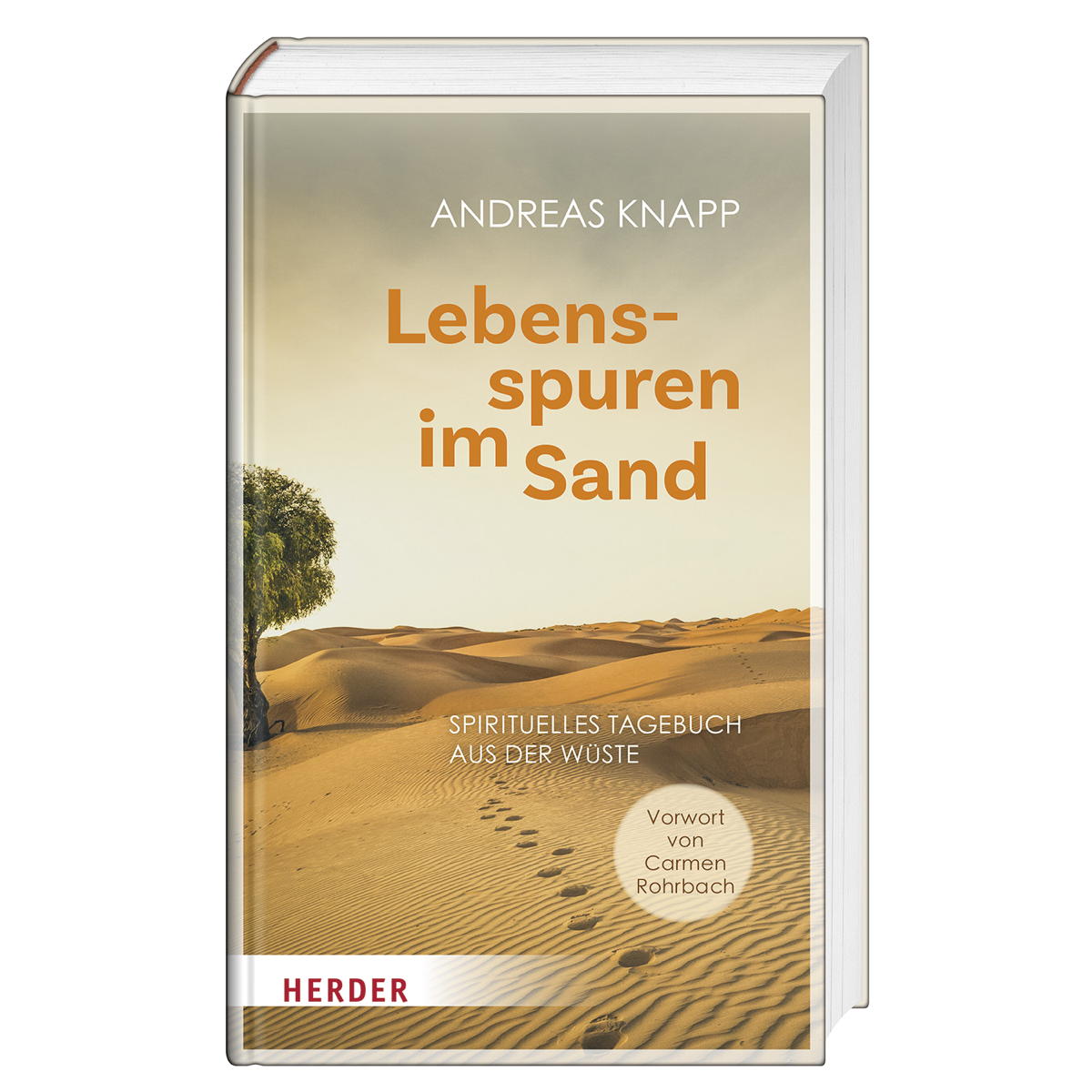 Lebensspuren im Sand von Herder Verlag GmbH