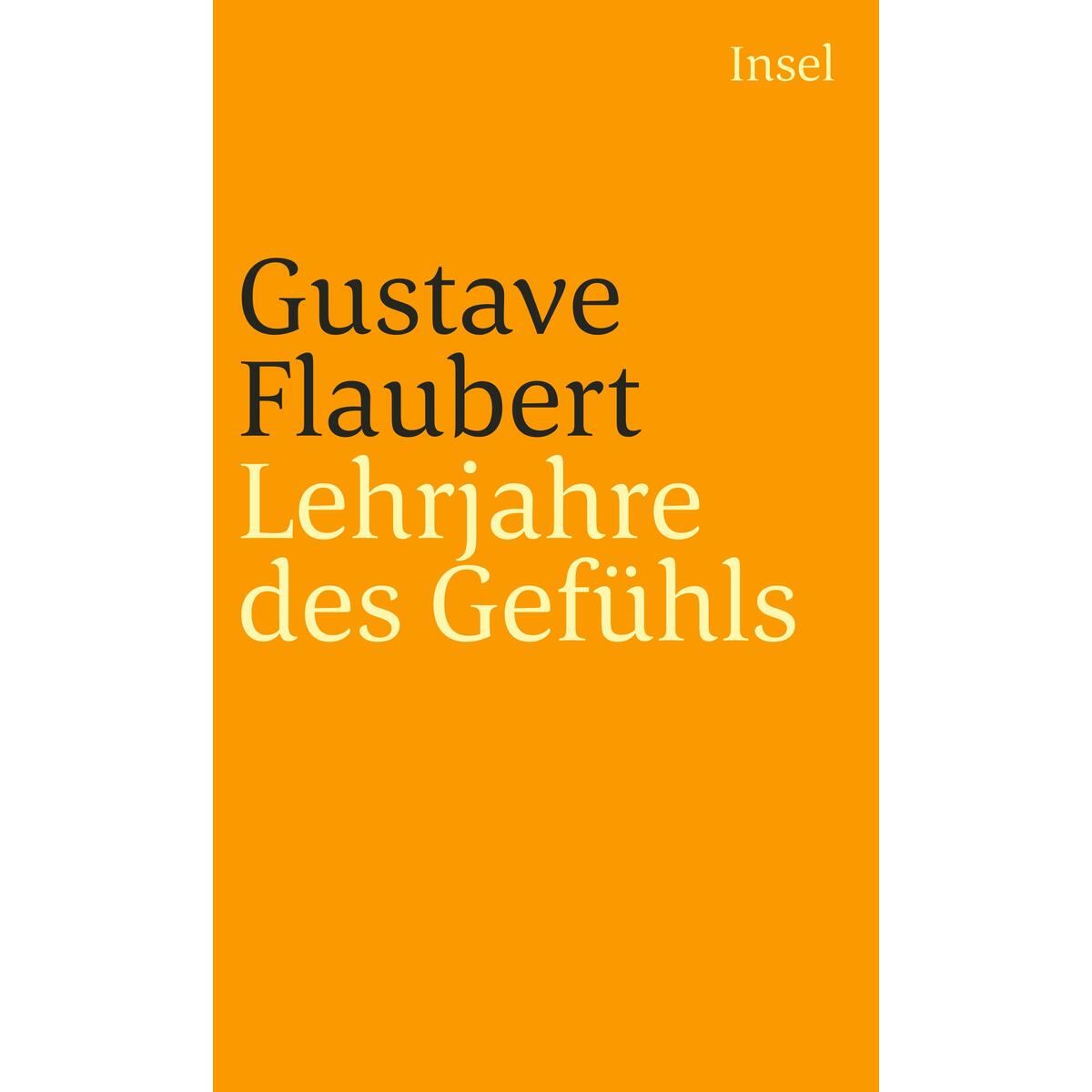 Lehrjahre des Gefühls von Insel Verlag GmbH